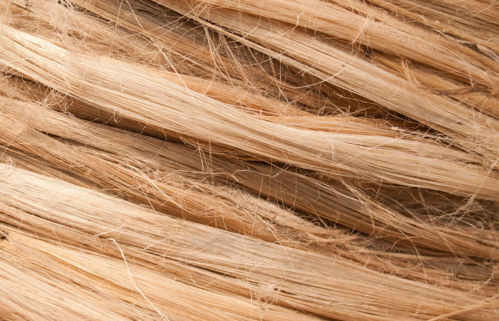 High-resolution close-up of intertwined natural fibers, showcasing rough and textured patterns.
